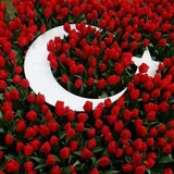 TÜRKÇE BİLGİLER