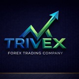 Trivex | MENA