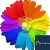 FIZIKA FINE