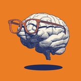 🧠 CURIOSITY 🧠