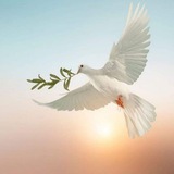 ပြည်ထောင်စု