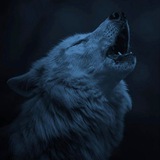 Clã dos Lobos