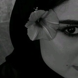 مياسين
