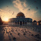 P-Medicin (37) احتياطي