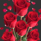 💘 Dareen--------jacel 💘