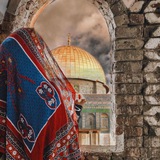 بـــجنان صصــــنعآإني 🇵🇸 🔥
