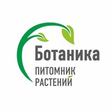 Питомник растений БОТАНИКА