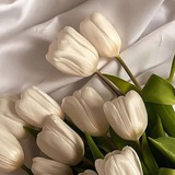 ألْمَى