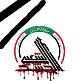 ابو فاطمة نيوز