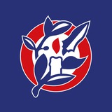 Luminis