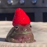 мемы на пожизненное