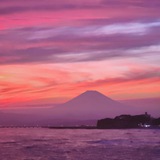 Random Japan