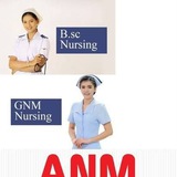 GNM NURSING and Bsc nursing , notes pdf , books, diagram, clipart illustration, anatomy 👩⚕ <i class="emoji" style="background-image:url('//tele