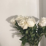 ذكر الله ♡