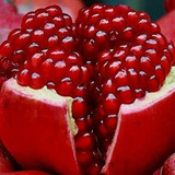 رمانهای پرطرفدار