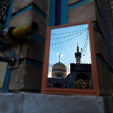 امام حسین ، امام رضا