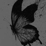 ﻓـُـࢪاشَهہ