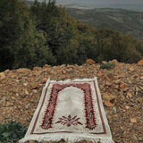 طريق الهدى.