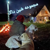 کانال مجموعه اصلی شین داگ