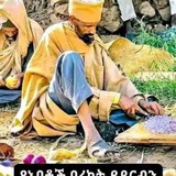 መርጌታ መንግስቱ የባህል ህክምናና መድሀኒት ቀማሚ