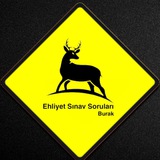 Ehliyet Sınav Soru Paylaşımı