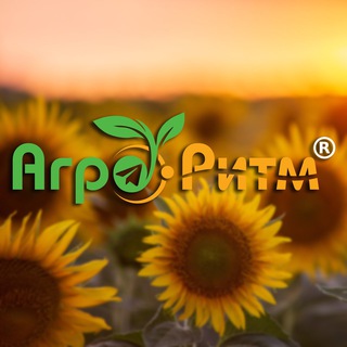 🌻 «Агро-Ритм» 🌽