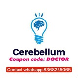 Cerebellum Academy