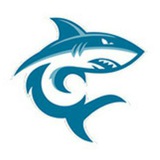🦈 蓝鲨 www.lsapk.com 🦈