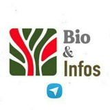 📰 Bio & Infos ☀️