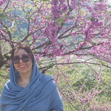 پایه پنجم و ششم/ بشارتلو🌱
