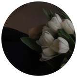 ستوريات رمزيات شباب بنات زغرفه عبارات بايو انستا هايلات اقباسات حب وغزل صور قران تطقيم صور صور كأنها لك ستوريات رمضان تصوير راس