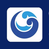 Swim Trading Trade Discussion