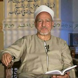 أ.د. فتحي حجازي Dr. Fathy Hegazy
