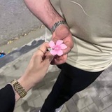 𝓐𝓟𝓡𝓘𝓛