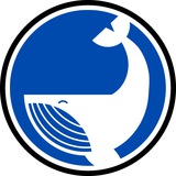 والکس|سیگنال ارز دیجیتال