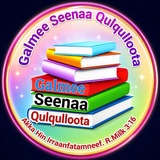 Galmee Seenaa Qulqulloota!