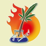 🔥Автор, Жги! | Конкурс Dzagi