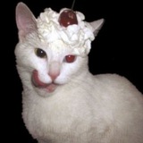 янгарден
