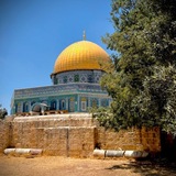 حَنيـ 𓂆ـنُ الأَقـصـىٰ 🇵🇸 🔻
