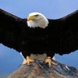 الكاسر