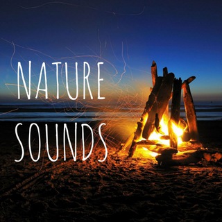 🏕️ 🏝️ Music for sleep , study & meditation <i clas