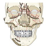 Oral and maxillofacial surgery