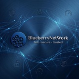 BlueberryNetWork