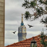 بشرى ؛