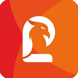 LingoPhoenix آکادمی زبان لینگوفینیکس