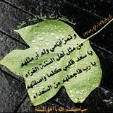 رَوَائعُ الكَلِمِ