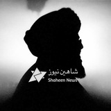 شاهين نيوز Shaheen News