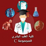 قناة المجموعة C
