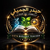 الأستاذ حيدر الجميلي