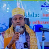 🔊 القناة الرسمية لفضيلة الشيخ محمد إيمان أدم 🖥 الشهير ب